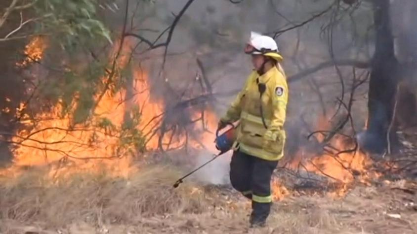 [VIDEO] Temperaturas récord en Australia e incendios por ola de calor