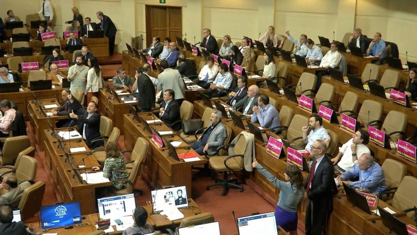 [VIDEO] Cámara aprueba paridad de género para proceso constituyente