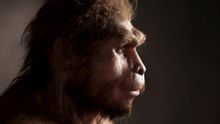Homo erectus: por qué los antiguos humanos sobrevivieron más de lo que pensábamos