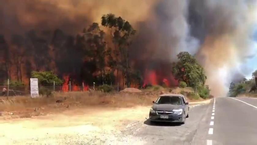 [VIDEO] Incendio forestal se registra en sector Alto Nihue de San Pedro de Melipilla