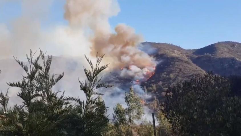 [VIDEO] Declaran alerta roja para la comuna de Olmué por incendio forestal