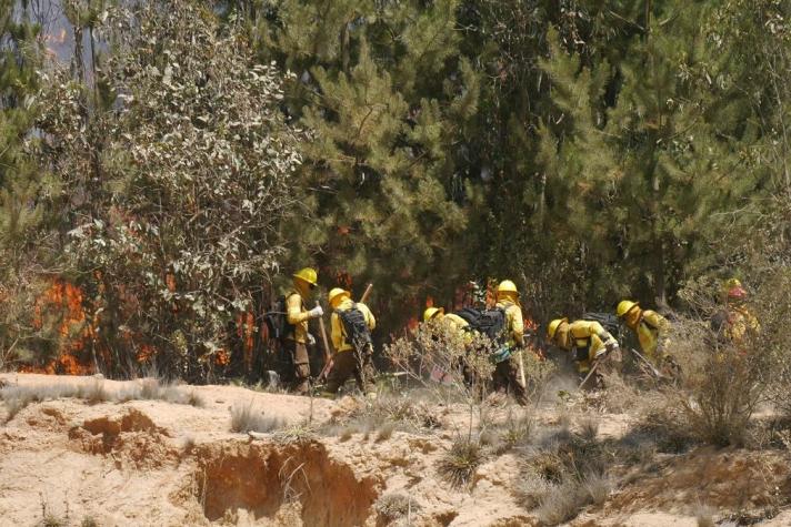 Conaf mantiene alerta roja en cuatro comunas por incendios forestales