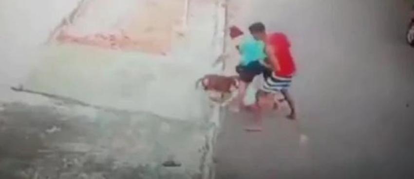 La angustiante lucha entre un joven y un pitbull para salvar a un pequeño niño