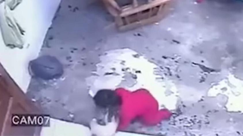 [VIDEO] El impresionante registro de una gata que salvó a un bebé de caer por las escaleras
