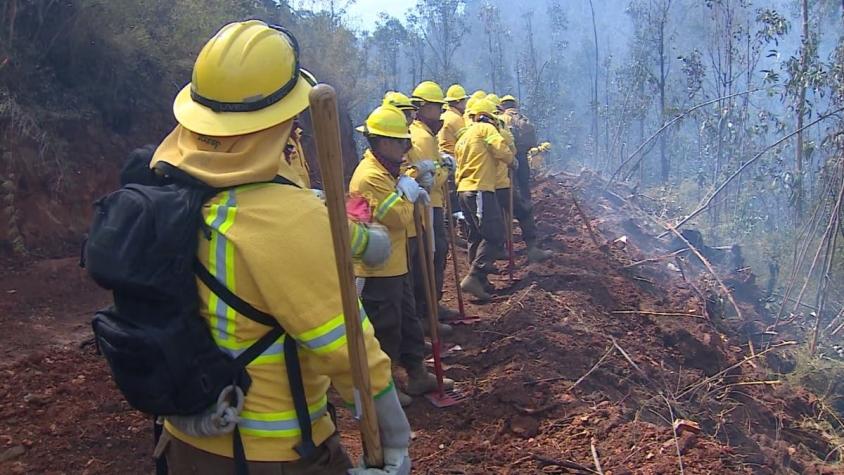 [VIDEO] Incendios en Valparaíso: La arriesgada labor de brigadas forestales