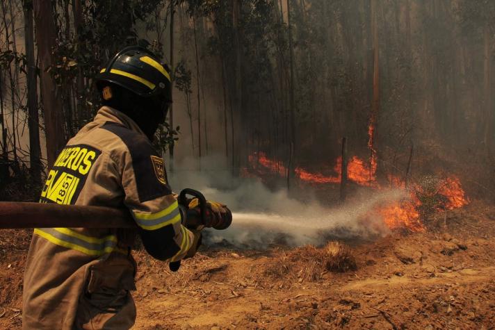 Onemi decreta alerta roja por incendio forestal en San Javier