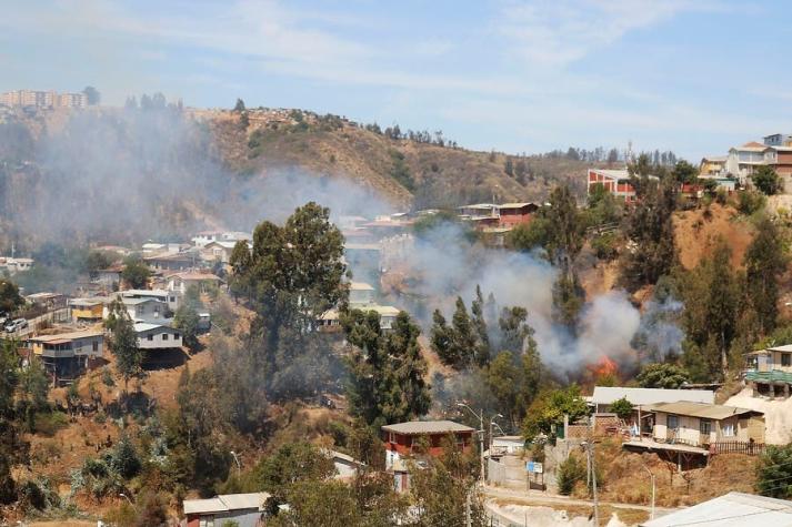 Firma mensual para acusado de provocar rebrote en incendio de cerro San Roque en Valparaíso