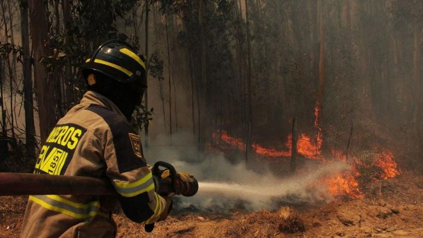 Región de O'higgins: Realizan evacuación preventiva de vecinos por incendio forestal en Coltauco