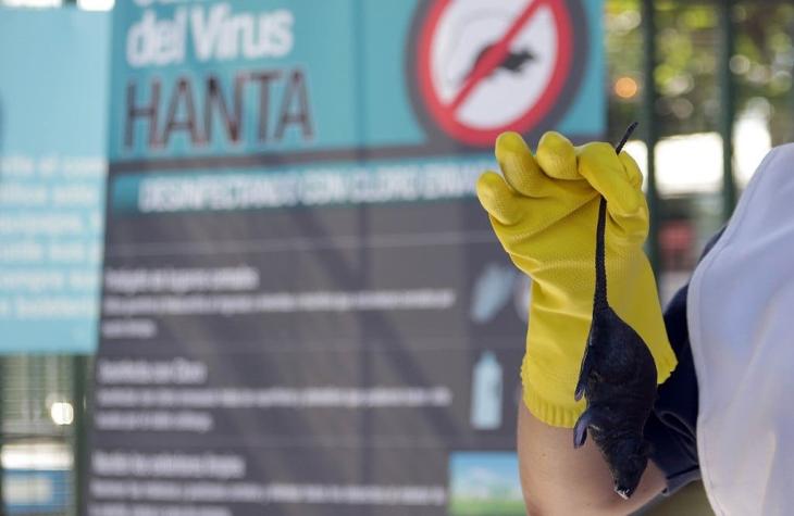 17 muertes en 2019: ¿Cuáles son los síntomas del virus hanta y cómo prevenir el contagio?