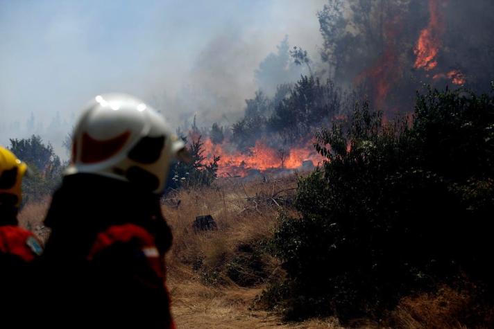 Cancelan alerta roja en Chillán Viejo por incendio forestal cercano a sectores habitados