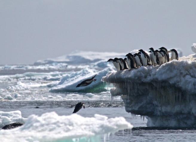Los efectos en el paisaje por las olas de calor que afectan a la Antártica