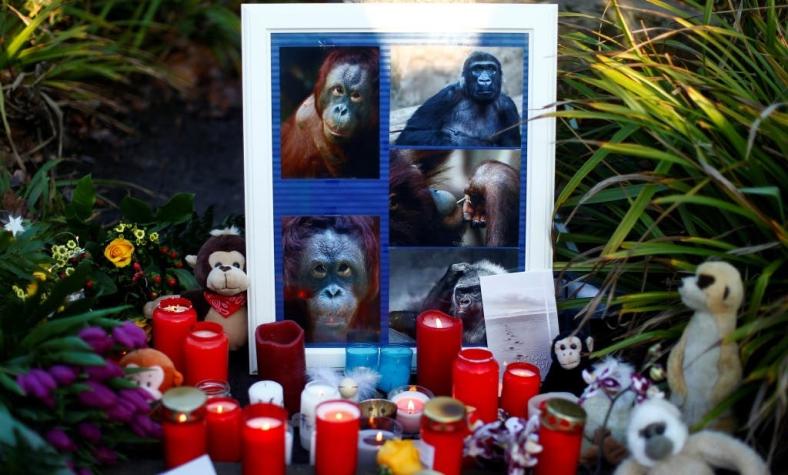 "Nuestros peores temores se han cumplido": Monos mueren en incendio en zoológico de Alemania