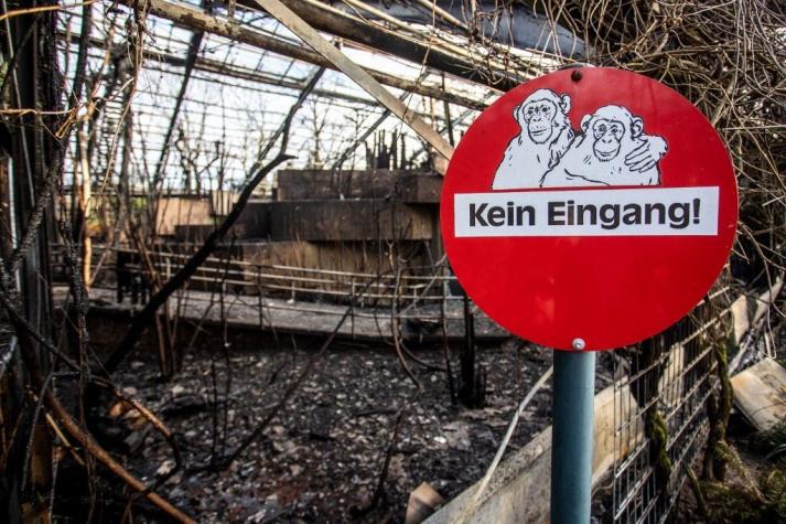 Murieron 30 animales: Madre y sus dos hijas asumen responsabilidad en incendio de zoológico alemán