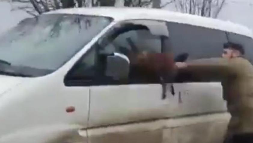 [VIDEO] Cazador inglés ataca con un zorro muerto auto de grupo animalista