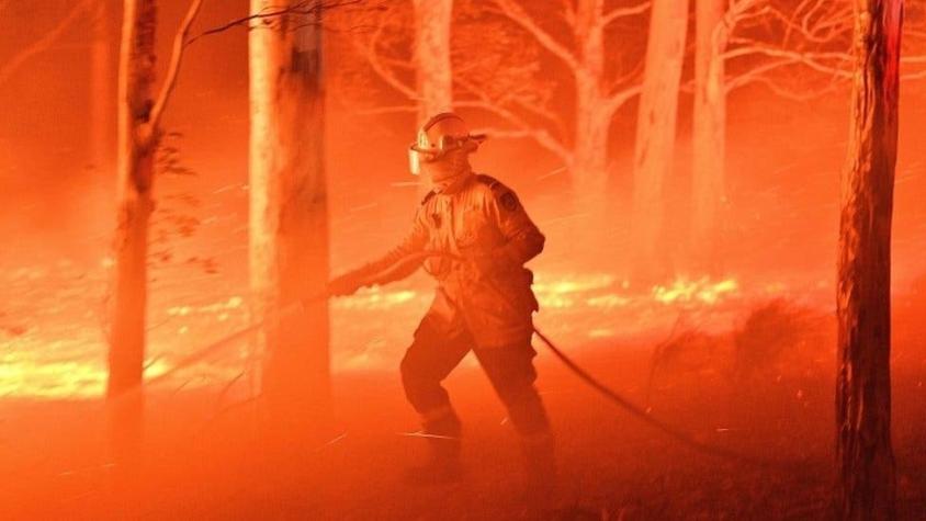 Por qué los incendios actuales en Australia son tan feroces y claves para entender lo que ocurre