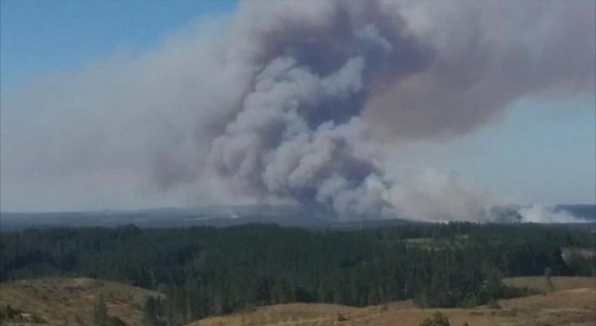 [VIDEO] Declaran alerta roja por incendio forestal en Laja: 120 familias han sido evacuadas
