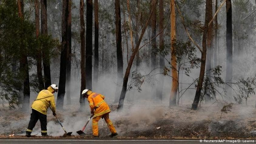 Tenue lluvia da breve respiro ante incendios en Australia