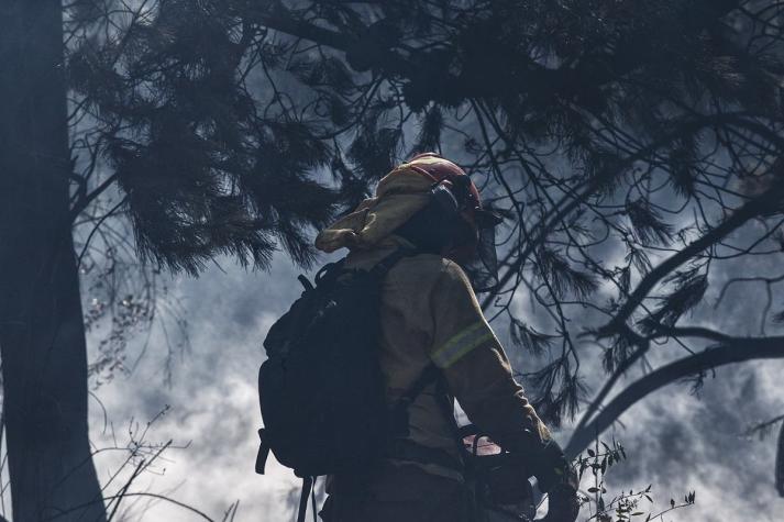 Onemi declara alerta roja para la comuna de Navidad por incendio forestal cercano a viviendas