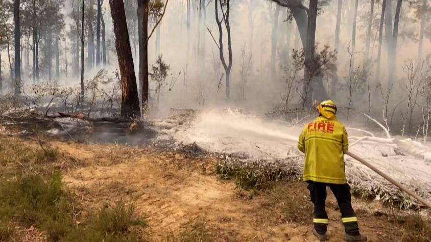 [VIDEO] Australia: ¿Cómo enfrentan los incendios los chilenos residentes?
