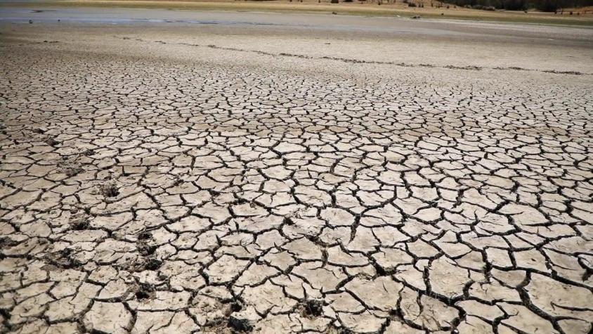 [VIDEO] Chile enfrenta a la peor sequía de su historia