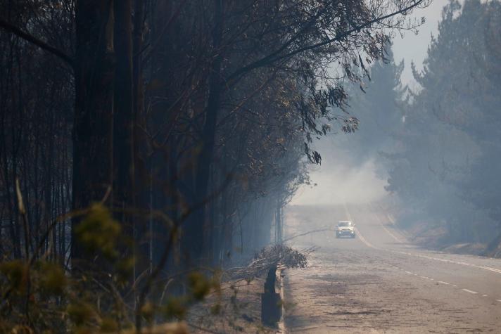 Onemi reporta 8 focos de incendios forestales activos en región del Ñuble, Biobío y La Araucanía