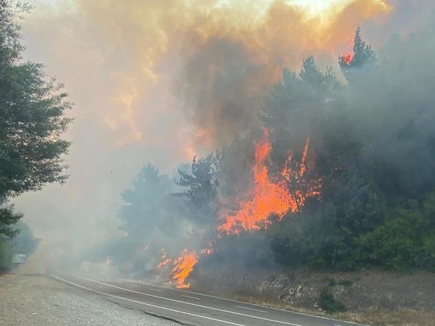 Decretan Alerta Roja en tres comunas de la región del Biobío por incendios forestales