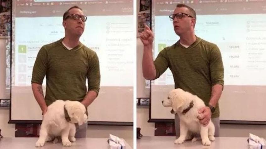 Profesor incentiva a estudiar a sus alumnos "amenazando" a dos cachorros