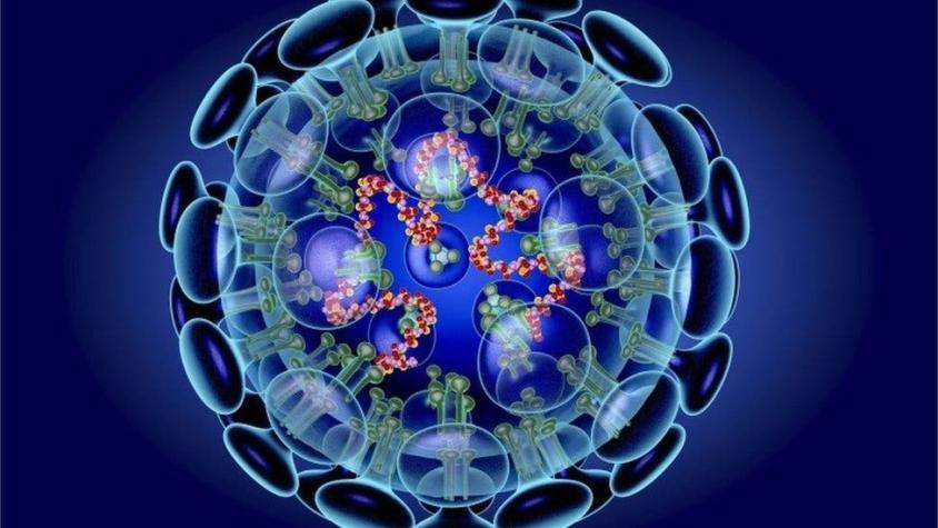 Primer caso de coronavirus en EEUU: a qué otros países ha llegado la enfermedad