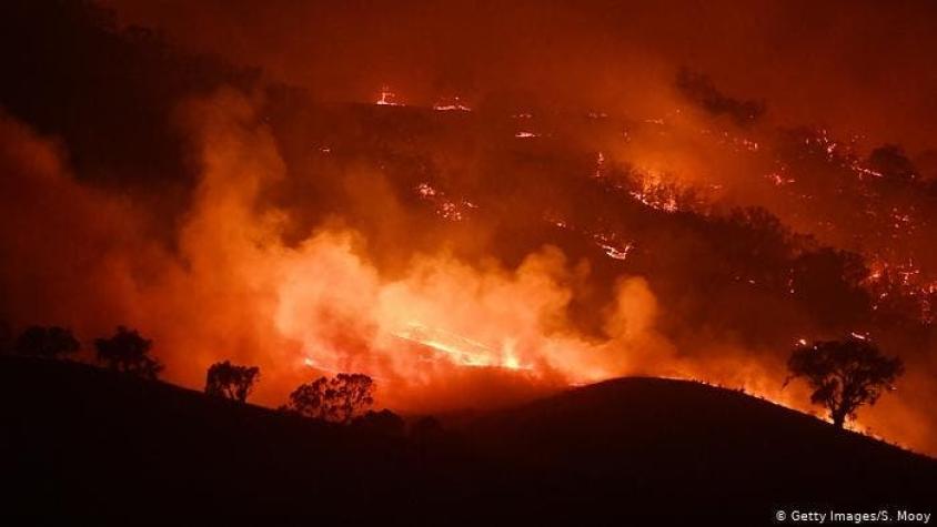 Australia reactiva alertas de peligro por incendios forestales tras altas temperaturas