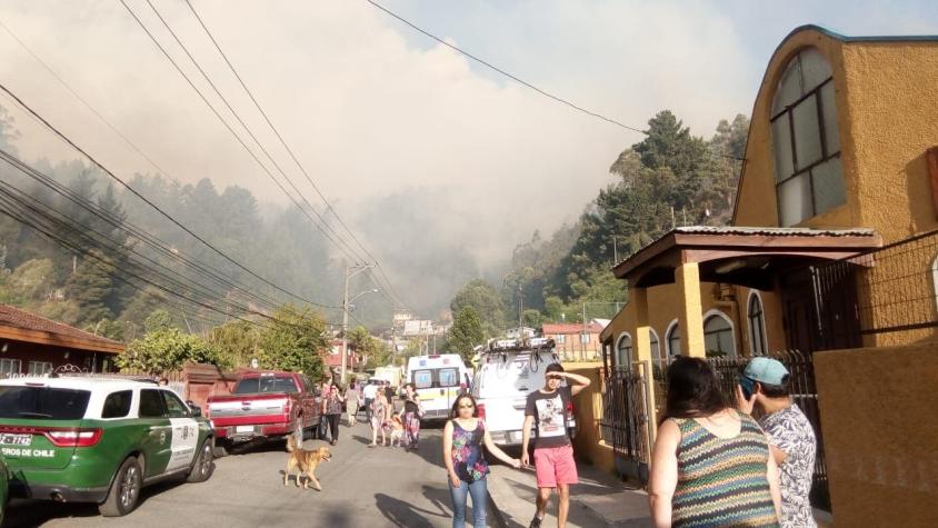 [VIDEO] Incendio forestal en Chiguayante: decretan alerta roja en la comuna