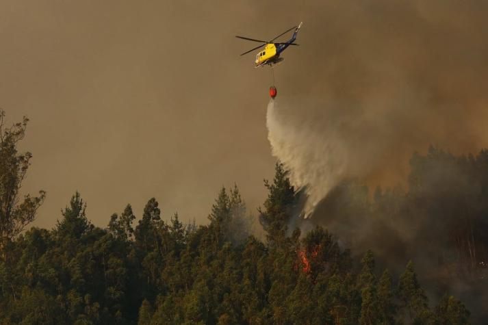 Chiguayante: Incendio llegó a la Reserva Nonguén, el último refugio de bosque nativo en Concepción