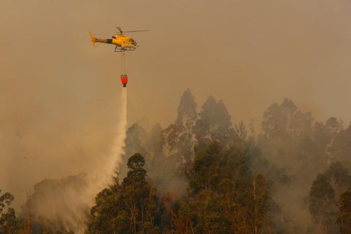 Incendios forestales: alerta roja en Valdivia y cortes de luz preventivos en la región del Biobío