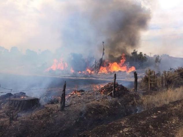 Onemi declara alerta roja en Padre Las Casas por incendio forestal en la región de La Araucanía
