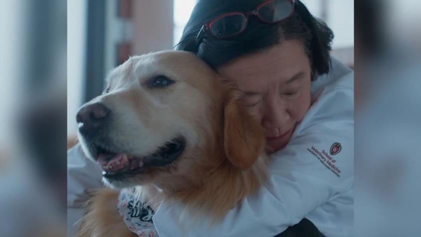 [VIDEO] Hombre compró anuncio en el Super Bowl para agradecer a veterinarios que salvaron a su perro