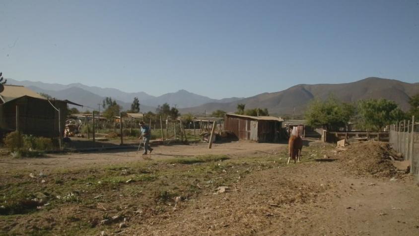 [VIDEO] El drama del agua en Valle Hermoso, una de las zonas más afectadas de Petorca
