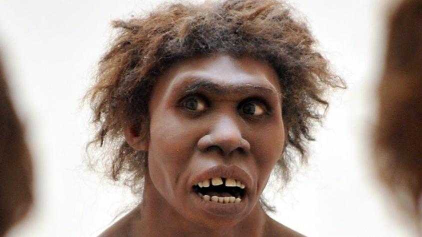 Neandertal: ¿cómo vivieron los últimos individuos de esta especie?