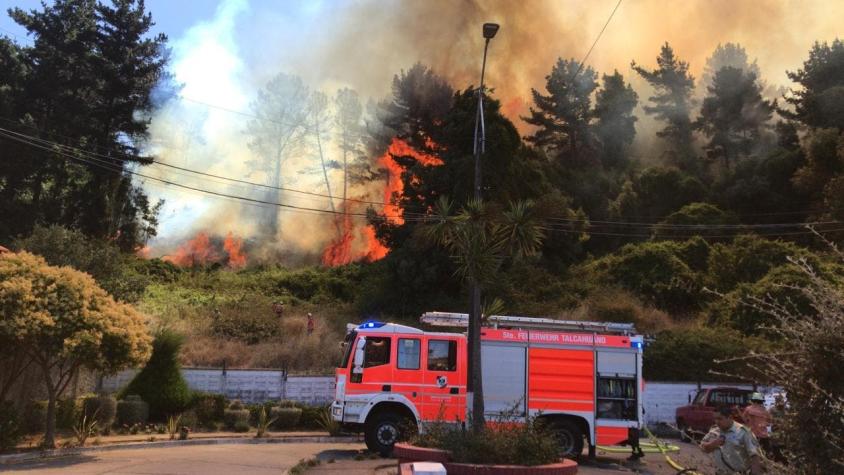 Incendio forestal se registra en cerro la U de Talcahuano