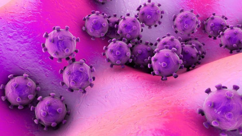 Coronavirus: ¿cuán preocupados debemos estar?