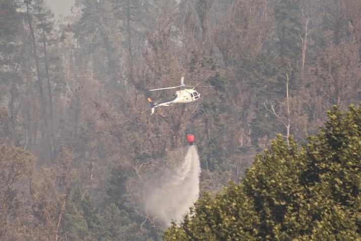 Declaran alerta roja en Talca: Incendio en Cerro La Virgen consume 40 hectáreas