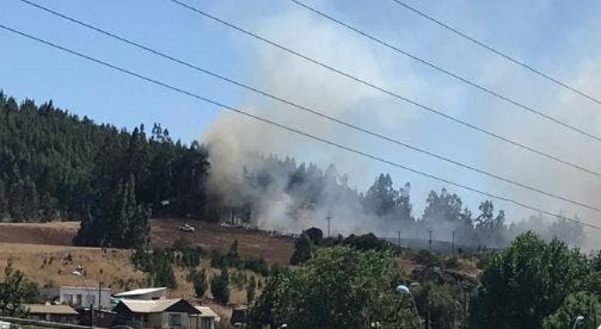 Onemi solicita evacuar sectores de Toro Melin y Peñaipil por incendio forestal en La Araucanía