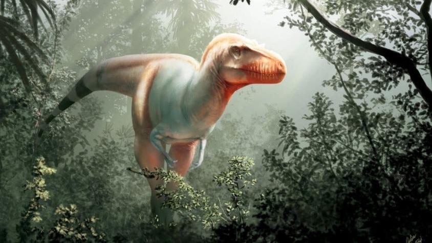 El "segador de la muerte", la nueva especie de dinosaurio que vivió antes que el Tyrannosaurus rex