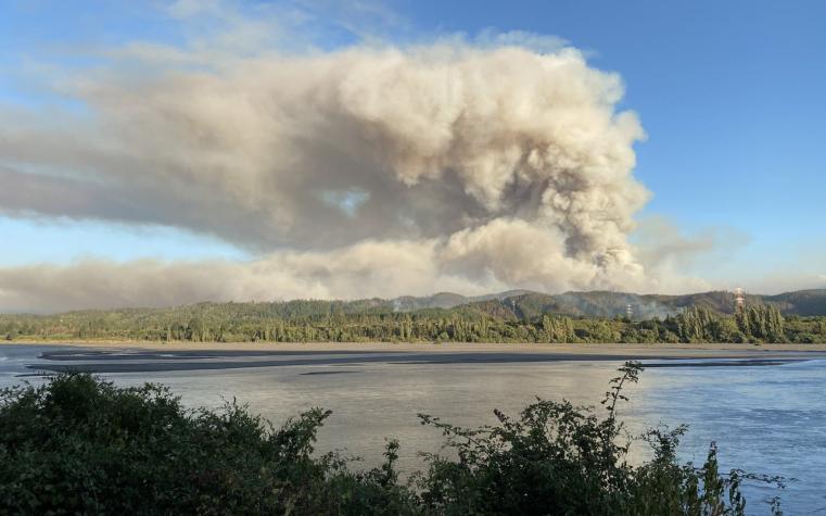 Decretan Alerta Roja por incendio forestal en Hualqui, región del Biobío