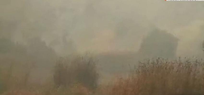 Declaran alerta roja en Penco por incendio forestal que amenaza a viviendas cercanas