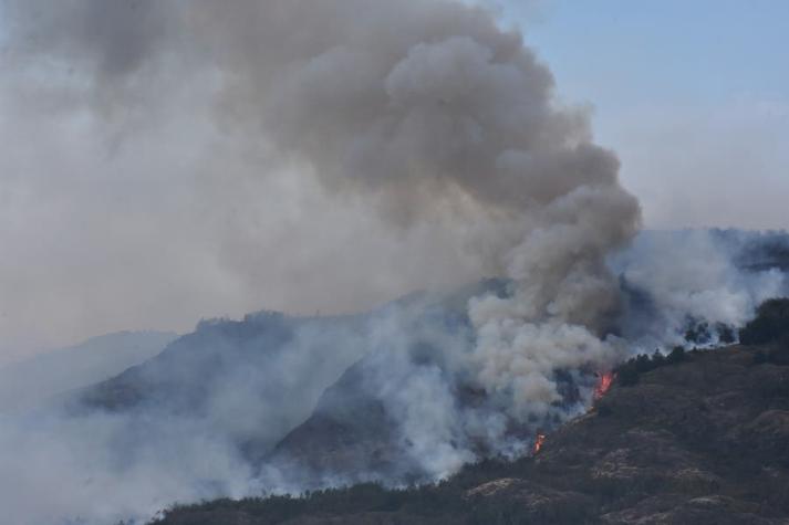 Onemi y Conaf califican esta temporada de incendios como “la más severa y riesgosa de la historia”