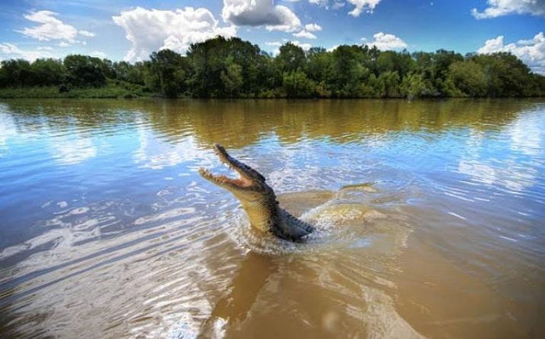 [VIDEO] Captan el momento exacto en que un cocodrilo salta del agua para atacar a un dron