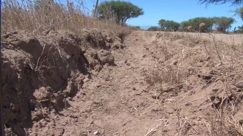 [VIDEO] Emergencia agrícola en ocho comunas del Ñuble por escasez de agua