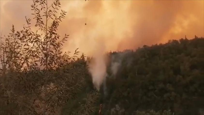 [VIDEO] Incendio forestal afecta a cercanías del Parque Nacional Radal Siete Tazas