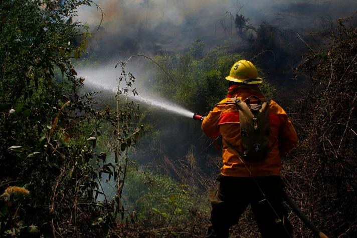 Decretan Alerta Roja en comuna de San Vicente por incendio forestal cercano a viviendas