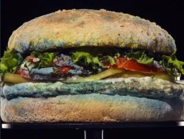 ¿Por qué Burger King utilizó en su publicidad una hamburguesa "Whopper" podrida?