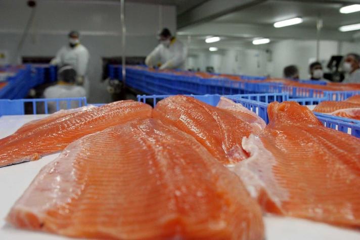 Rusia bloquea ingreso de salmones chilenos y productor pide ayuda a Cancillería